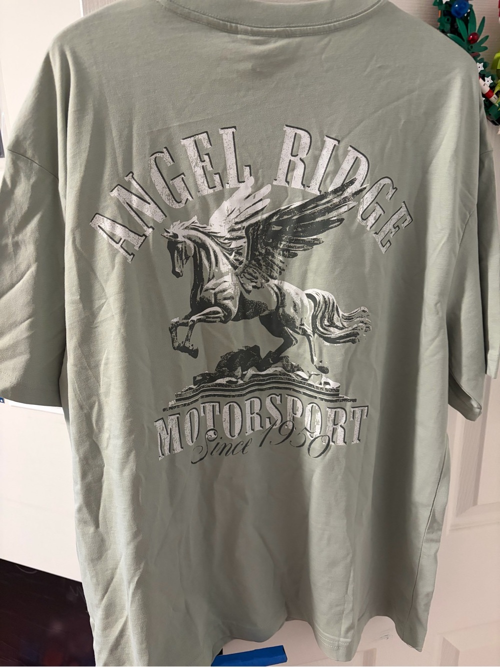 H&M Men's Sage Graphic Tee